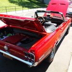 Rear Ford Mustang Convertible