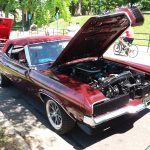 Cougar Mercury