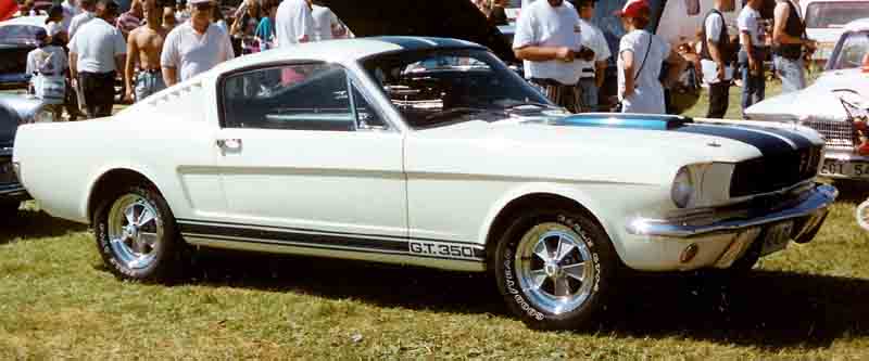 Shelby GT350