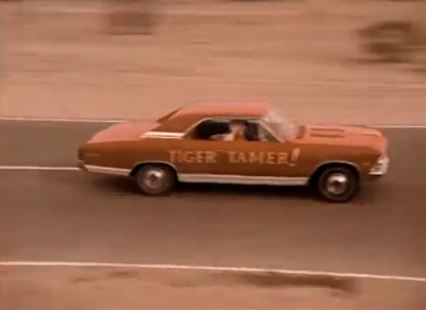 1966 Chevrolet Chevelle ss 396 Tiger Tamer